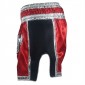 Lumpinee Muay Thai Shorts : LUM-023